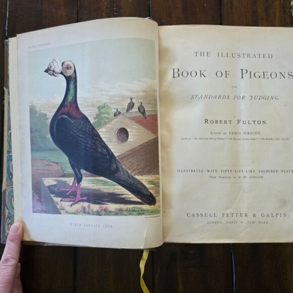 The Illustrated Book of Pigeons with Standards for Judging - Picture 1 of 5